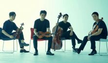 Novus String Quartet - Négyszer négyes