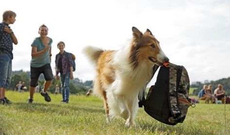 Békási Kertmozi: Lassie hazatér
