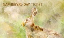 „EGY A TERMÉSZETTEL” Vadászati és Természeti Világkiállítás - Napi jegy / 1-day ticket