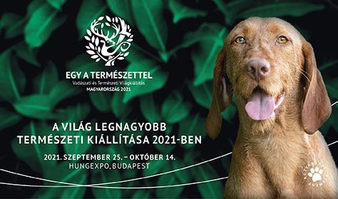 Napi jegy 50% / 1-day ticket 50% Napi jegy 50% / 1-day ticket 50%