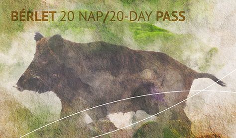 „EGY A TERMÉSZETTEL” Vadászati és Természeti Világkiállítás - Bérlet 20 nap / 20-day pass