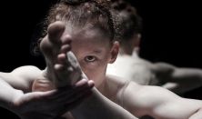 Góbi Rita: Falka - Ifjú Koreográfusok Fóruma+ - Közép-Európa Táncszínház
