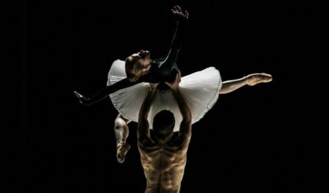 Ballet Company of Győr: Movements to Stravinsky / Mimi - première 