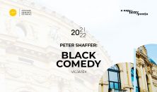 Peter Shaffer: Black Comedy