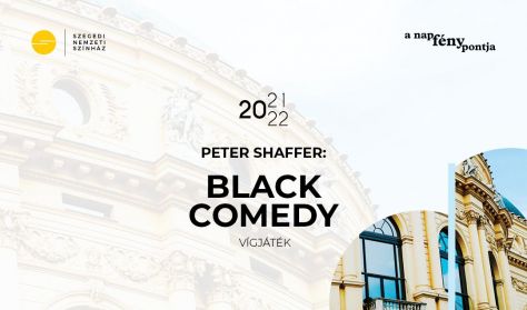 Peter Shaffer: Black Comedy Peter Shaffer: Black Comedy