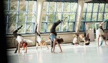 Shifting Roots - Alegado Movement Language - Workshop / Haladó