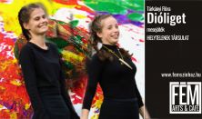 Dióliget (Helytelenek Társulat bábjátéka gyerekeknek)