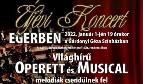 Újévi koncert Újévi koncert