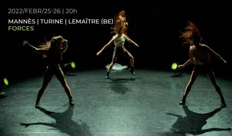 Mannes / Turine / Lemaître (BE): Forces