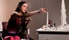 xxxEsterházy Péter: Tizenhét hattyúk