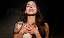 xxxEsterházy Péter: Tizenhét hattyúk