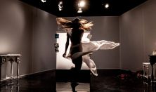 xxxEsterházy Péter: Tizenhét hattyúk