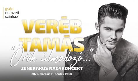 "Örök álmodozó..." Veréb Tamás zenekaros nagykoncert