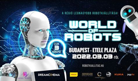 World of Robots (hétköznap)
