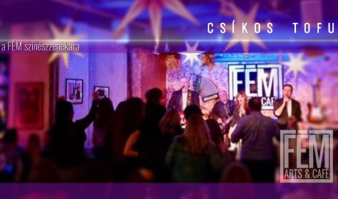 Csíkos Tofu búcsúkoncert