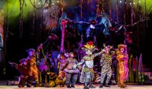 xxxK. Del Aguila - G. Noriega - J. Someillan: Madagaszkár zenés kalandtúra