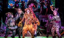 xxxK. Del Aguila - G. Noriega - J. Someillan: Madagaszkár zenés kalandtúra