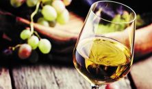 BWG - Balaton Wine & Gourmet Fesztivál / Mindent az orrnak
