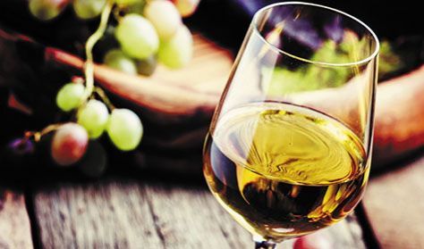 BWG - Balaton Wine & Gourmet Fesztivál / Mindent az orrnak