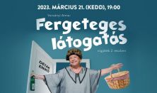 Varsányi Anna: Fergeteges látogatás