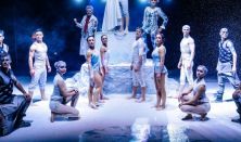 Recirquel: Kristály at Millenáris - off-site Müpa performance / Winter contemporary circus fairy tale