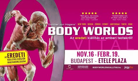 Kiállítás Ajándékjegy - BODY WORLDS