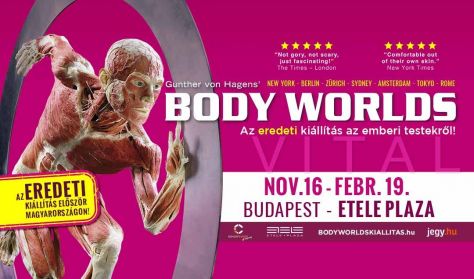 BODY WORLDS Kiállítás - hétvége BODY WORLDS Kiállítás - hétvége