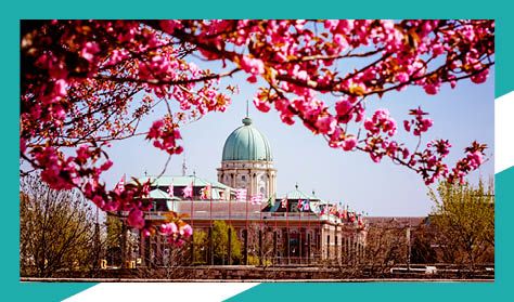 Várból Palota - Séta a Budavári Palotanegyedben, a Várkápolnában és a Királypincében