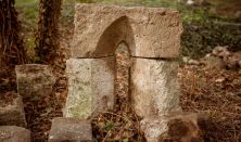 A középkori királyi vadászkastély titkai - Vezetett bejárás a budanyéki régészeti feltárás területén