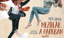 Mézesvölgyi Nyár - Mezítláb a parkban