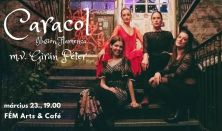 CARACOL | Ilusión Flamenca
