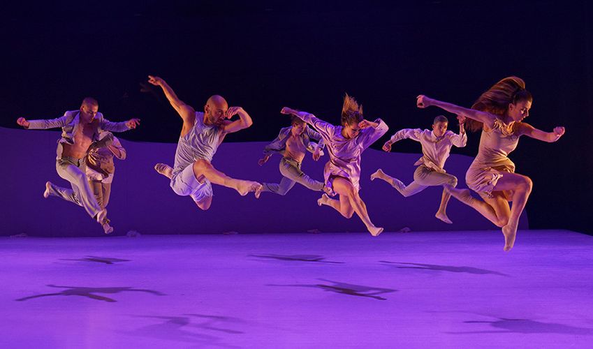 VIHAR • Kulcsár Noémi Tellabor