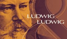 Ludwig & Ludwig - Danubia Zenekar