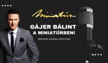 Gájer Bálint a Miniatűrben