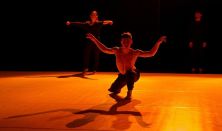 PR-Evolution - Élet-színek