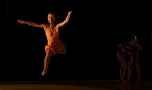 PR-Evolution - Élet-színek