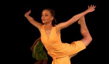 PR-Evolution - Élet-színek