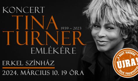 Koncert Tina Turner emlékére