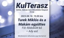 Turek Miklós és a Makám együttes - Föl-földobott kő - Ady est