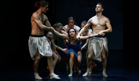 Da Vinci mosolya • PR–Evolution Dance Company