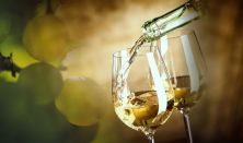BWG - Balaton Wine & Gourmet Fesztivál / Balaton TOP 10 - Csúcsborok a tó körül