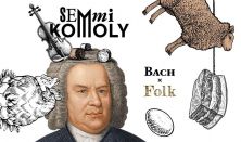 Bach X Folk - Danubia Zenekar