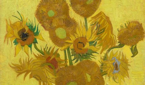 A nap szerelmese. Vincent van Gogh élete és festészete (L'amoureux du soleil. La vie et la peinture