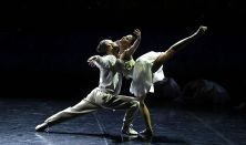 A HATTYÚK TAVA -  Le Lac des Cygnes - kortárs balett - Ballet Preljocaj