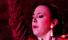Flamenco-est a Spinozában