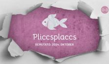 Pliccsplaccs