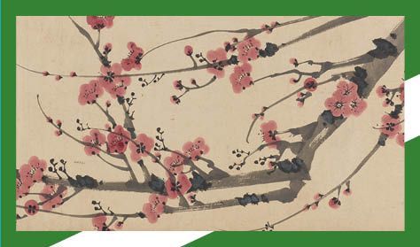 Botanikai illusztrációk workshop - Japán cseresznyevirág