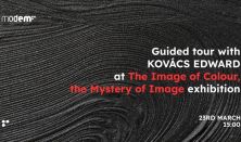 Guided tour at The Image of Colour, the Mystery of Image exhibition