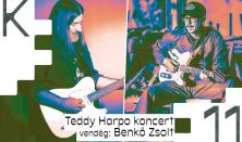 Teddy Harpo koncert // vendég: Benkő Zsolt