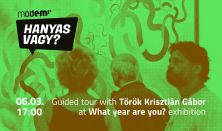 Guided tour with Török Krisztián Gábor at What year are you? exhibition